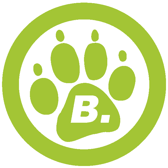 HUTA Baumgartl logo