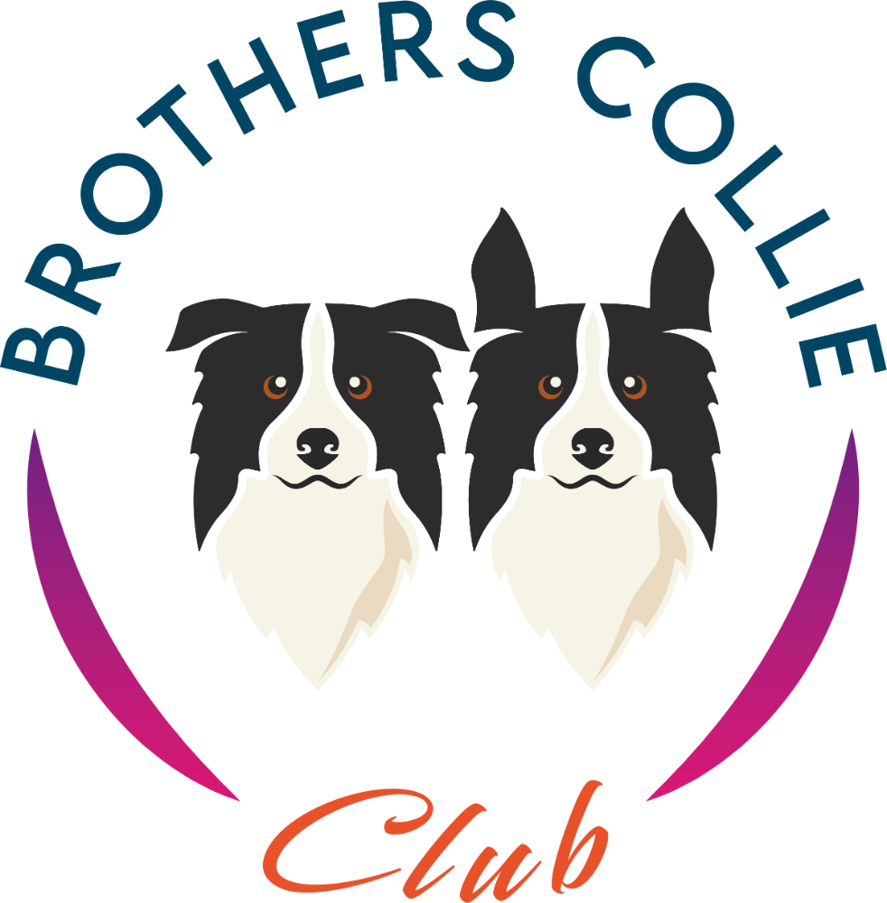 Brothers Collie logo