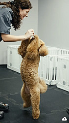 daycare